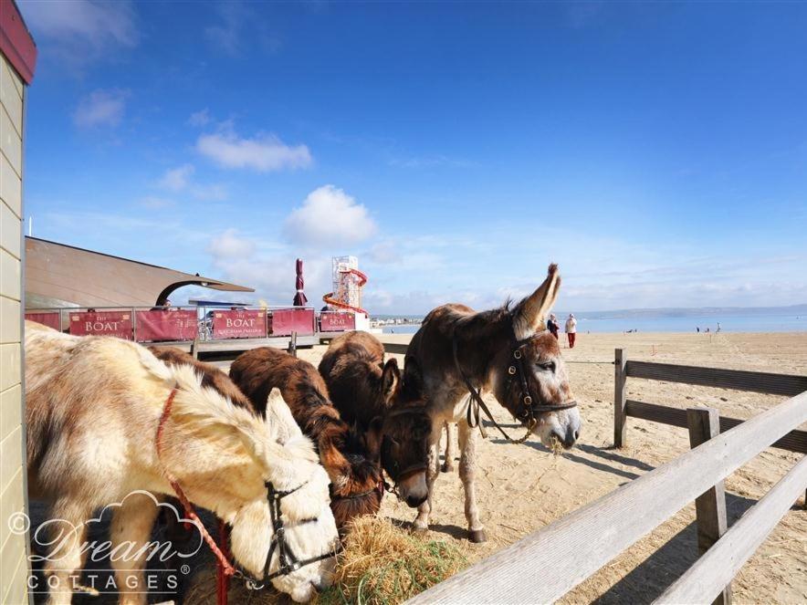 Baytree Lodge Уэймут Экстерьер фото
